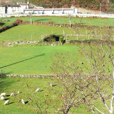 הוילה ויירה דו מיניו Campo Seco מראה חיצוני תמונה